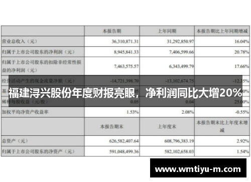 福建浔兴股份年度财报亮眼，净利润同比大增20%